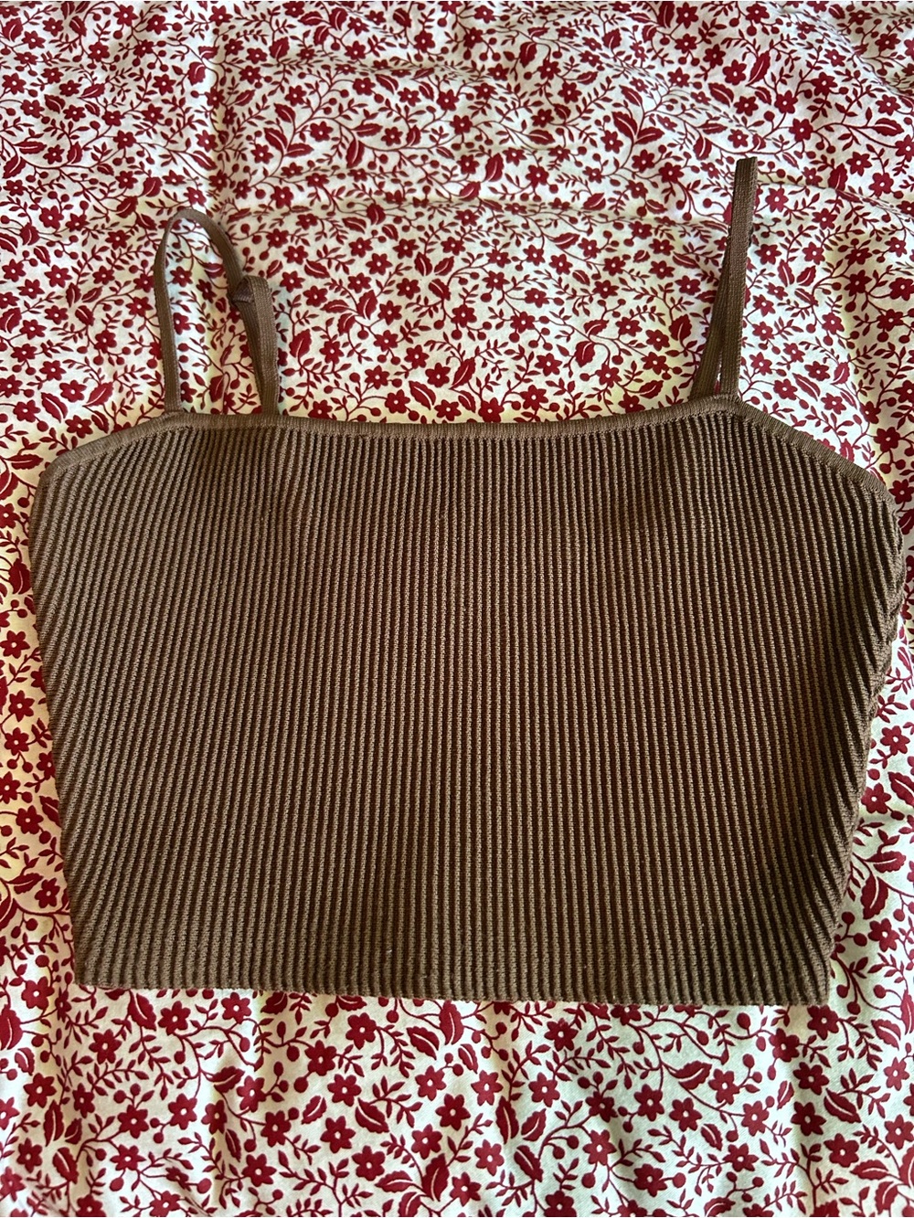 Aritzia crop top 🤎
